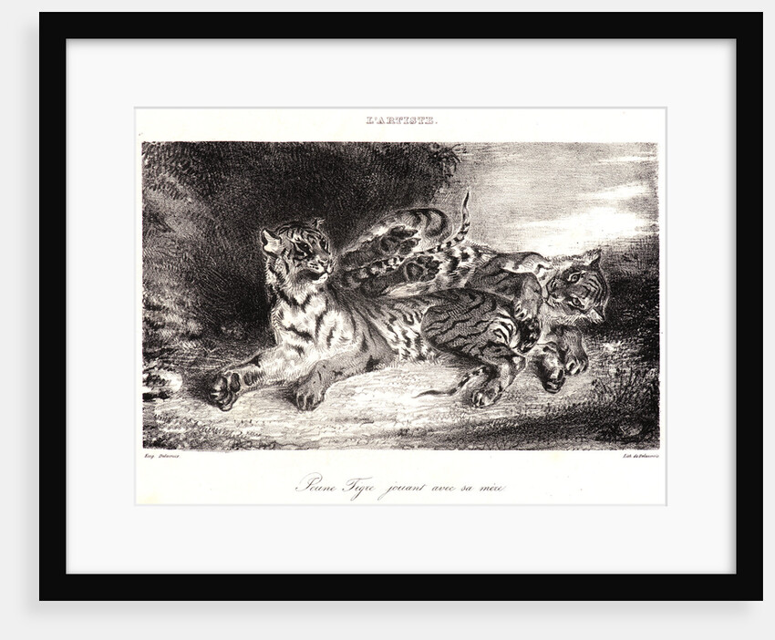 Young Tiger Playing with its Mother (Jeune Tigre jouant avec sa Mêre), 1831 by Eugène Delacroix