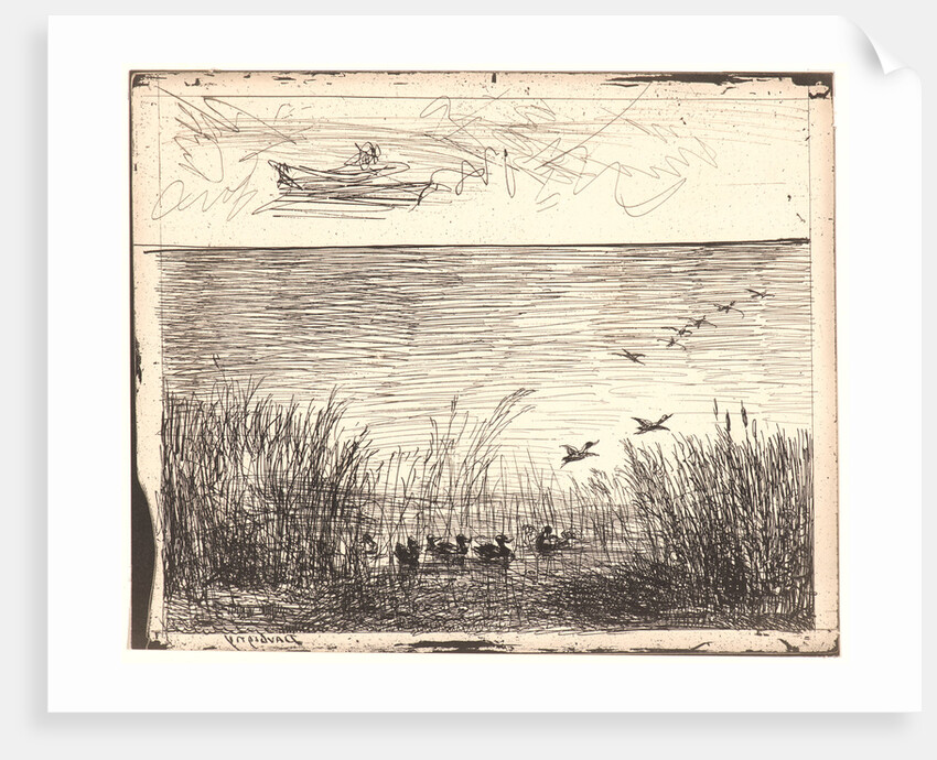 Le Marais aux Canards, 1862 by Charles François Daubigny