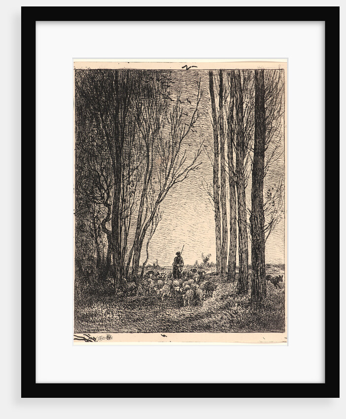 La Rentrée du Troupeau, 1862 by Charles François Daubigny