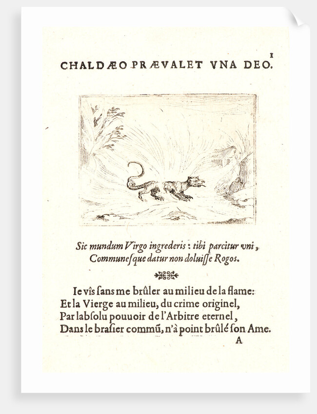 Salamandre Marchant dans les Flammes, 17th century by Jacques Callot