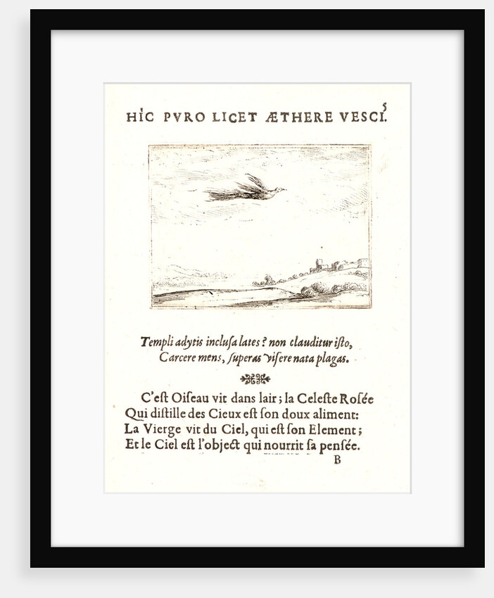 L'Oisseau de Paradis, 17th century by Jacques Callot