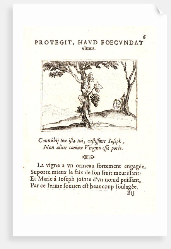 Le Cep de Vigne, 17th century by Jacques Callot