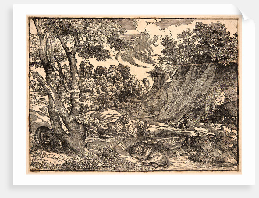 St. Jerome in the Wilderness, ca. 1525-1530 by Nicolò Boldrini