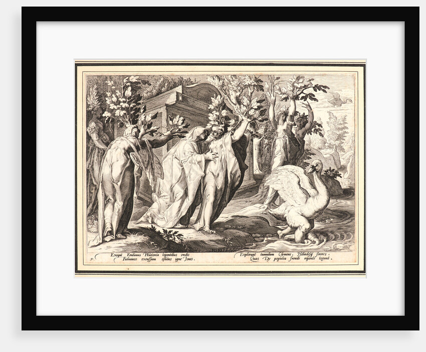 Phaeton's Sisters Changed into Poplars, and Cygnus into a Swan, ca. 1590 by Anonymous