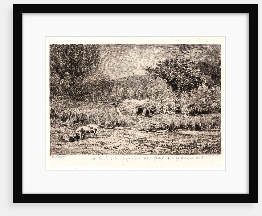 Pig in an Orchard (Le Cochon dans un Verger), ca. 1860 by Charles François Daubigny
