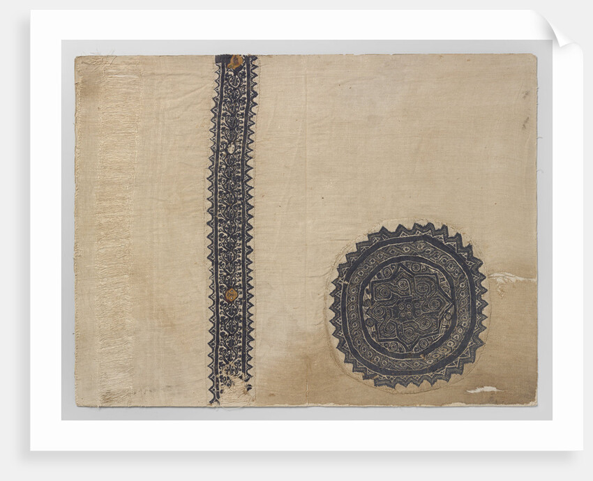 Tissue Fragment with orbiculus and clavus by Anonymous