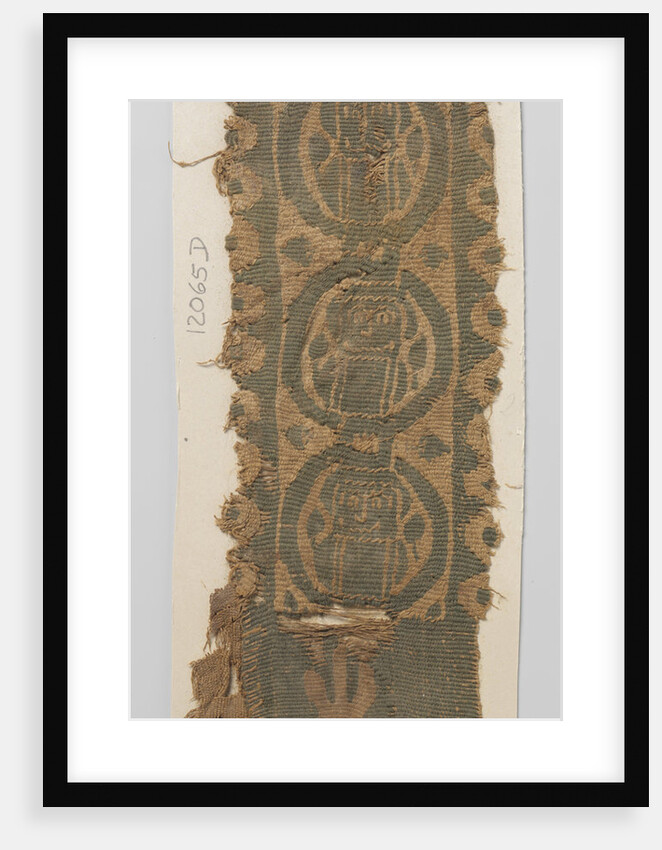 Tissue Fragment with clavus by Anonymous