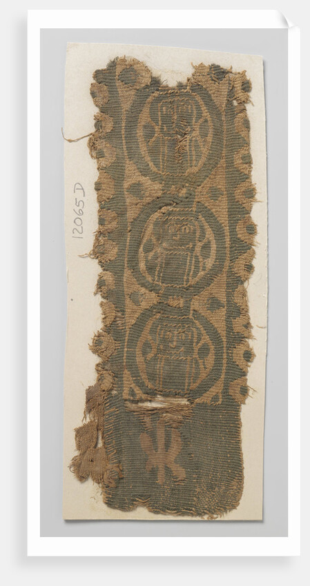 Tissue Fragment with clavus by Anonymous