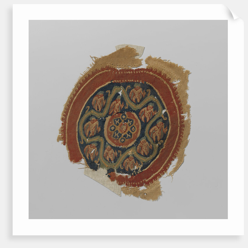 Tissue Fragment with orbiculus by Anonymous
