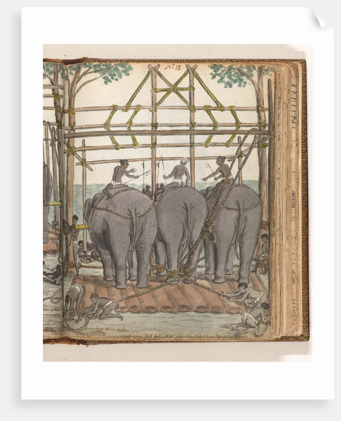 Elephants by Jan Brandes