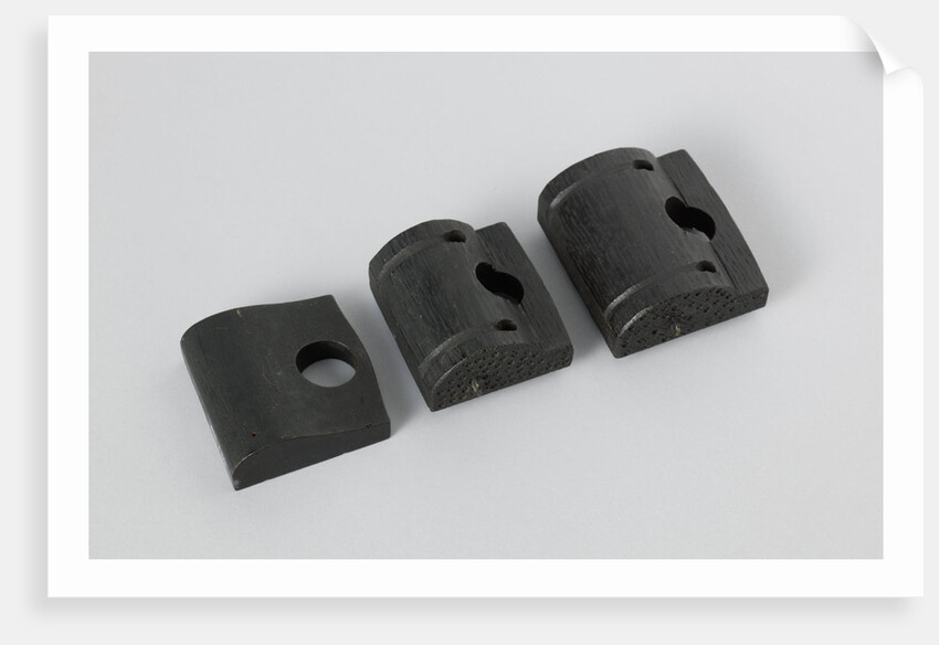 Fragments of three models of donkey heads by Anonymous