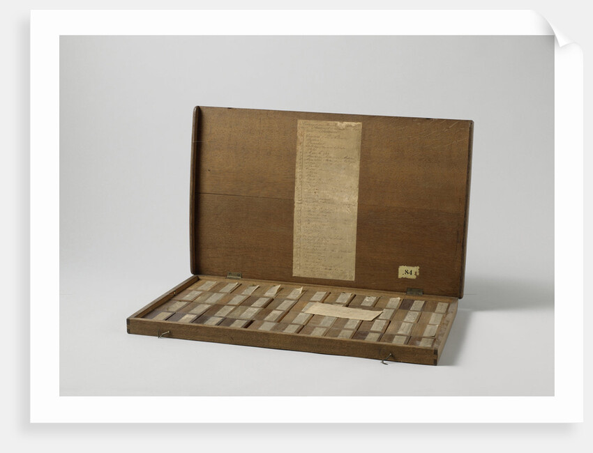 Box with forty-four wood samples from Suriname by Anonymous