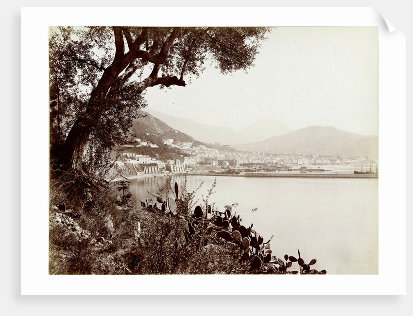 View of Salerno Italy and its harbor by Fratelli Alinari