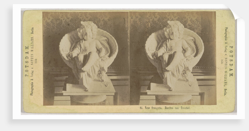 Neue Orangerie. Bacchus von Troschel by Sophus Williams