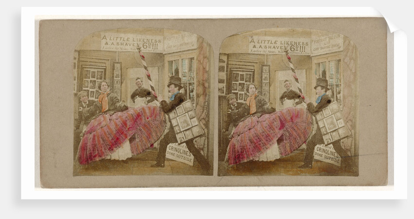 The Dangers and perplexities of crinoline by Anonymous