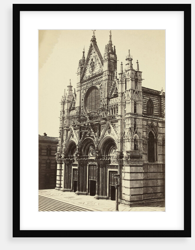 Cathedral of Siena, Italy by Anonymous