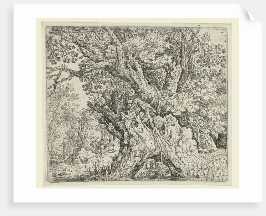 Gnarled Trees near the Water by Roelant Savery