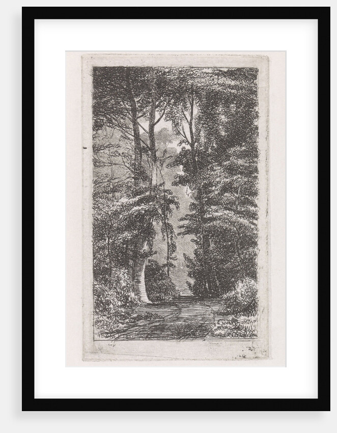 Forest avenue by Jacob Jan van der Maaten