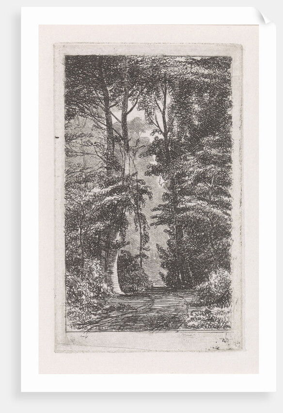 Forest avenue by Jacob Jan van der Maaten
