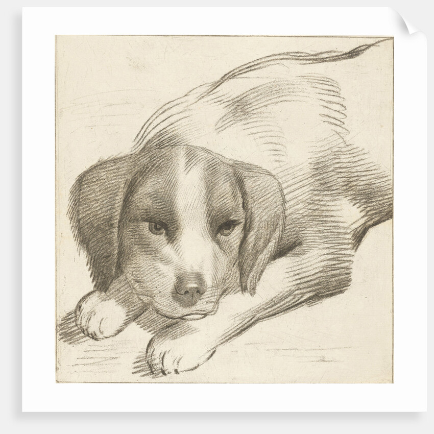 Dog, Cornelis van Noorde by Cornelis Visscher II