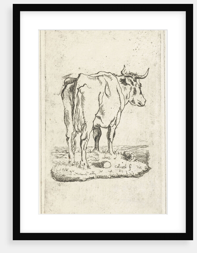Standing cow by Johan Antoni Kauclitz Colizzi