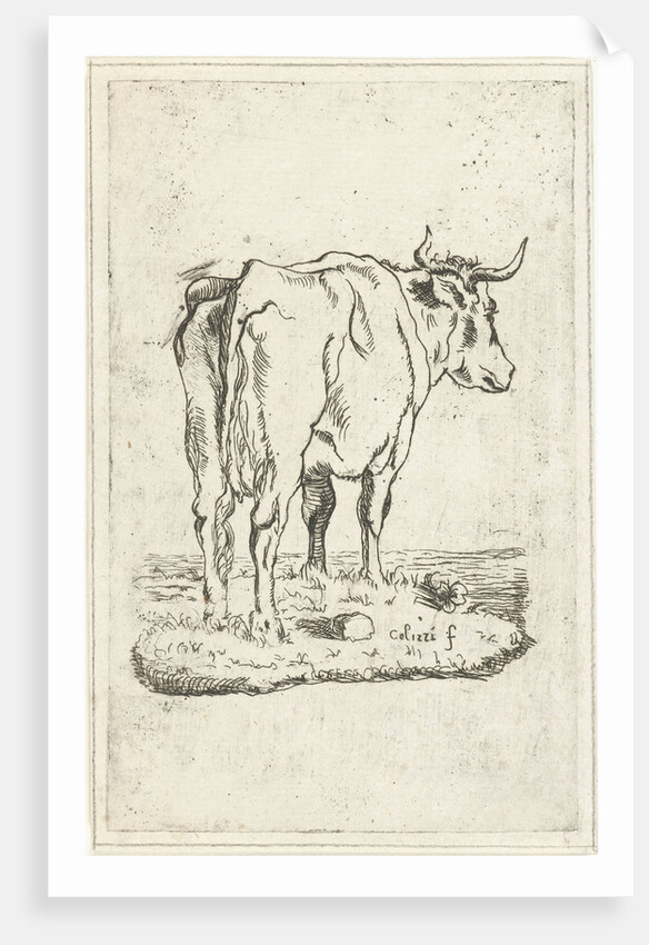 Standing cow by Johan Antoni Kauclitz Colizzi