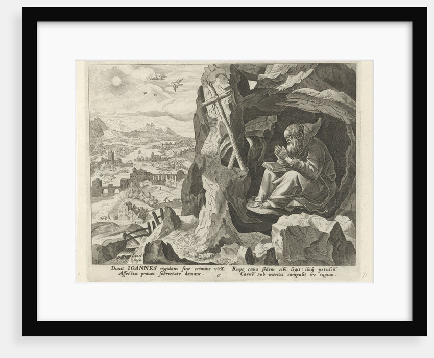 John Cassian as a hermit by Maerten de Vos