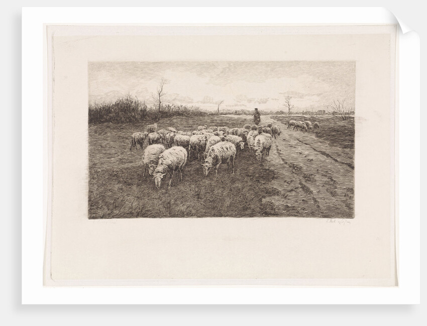 Shepherd with flock of sheep by Elias Stark