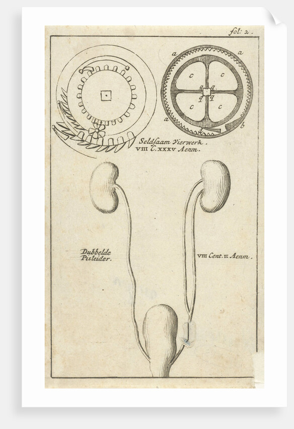 anatomic image XXI by Jan Claesz ten Hoorn