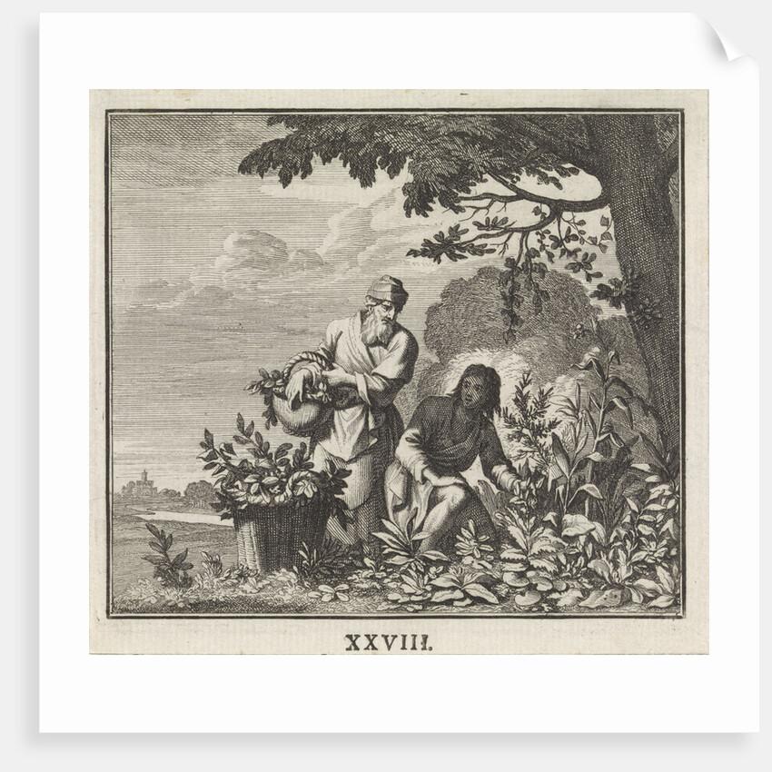 Emblem herbs by Christoph Weigel