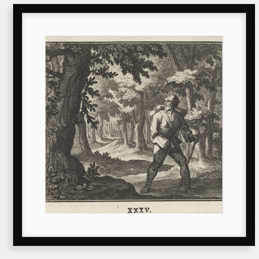 Emblem forest by Christoph Weigel