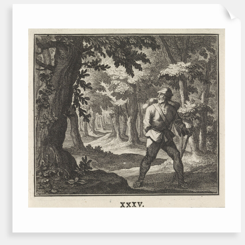 Emblem forest by Christoph Weigel