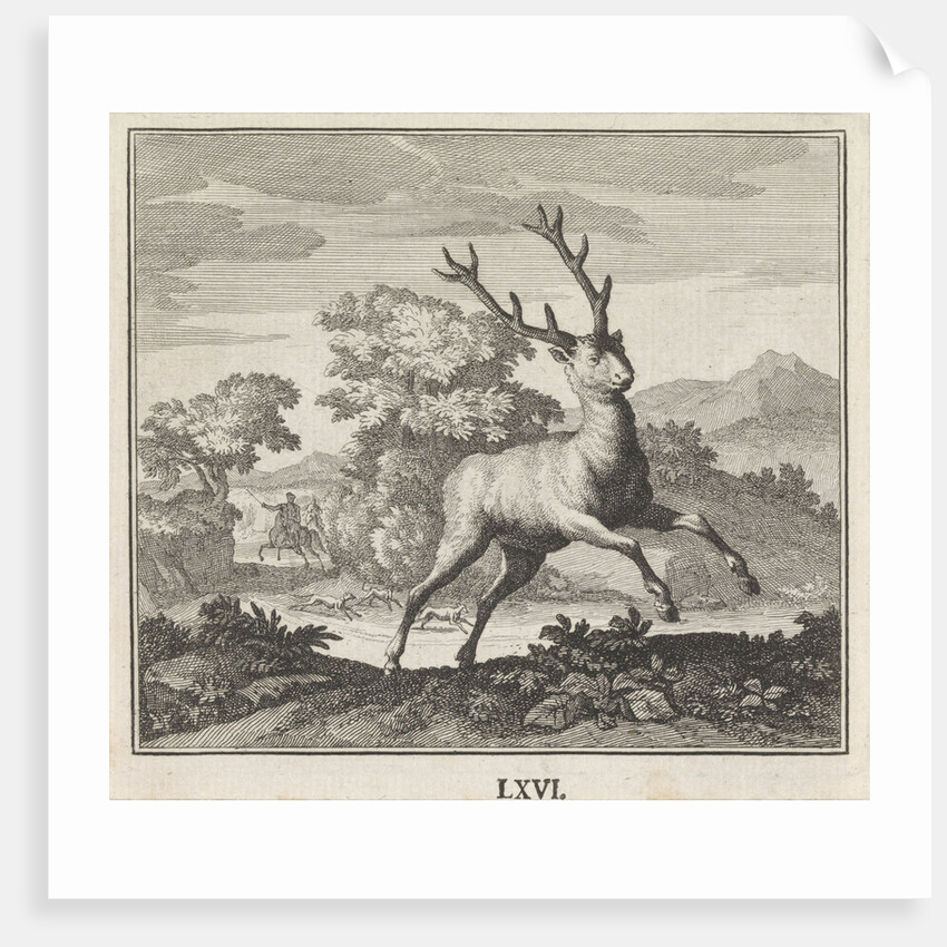 Emblem deer by Christoph Weigel