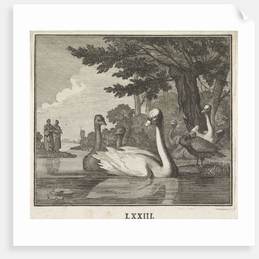 Emblem Swan by Christoph Weigel