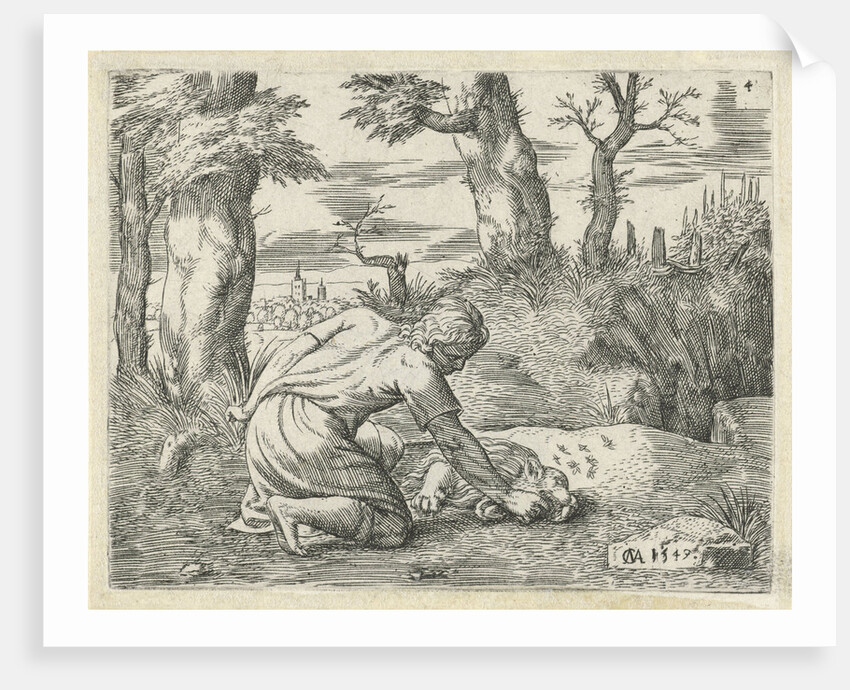 Simson find honey in the dead lion by Cornelis Massijs