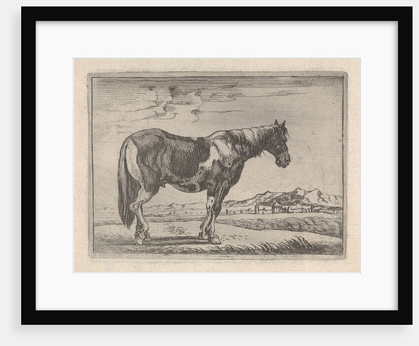 Single horse by G. Quineau