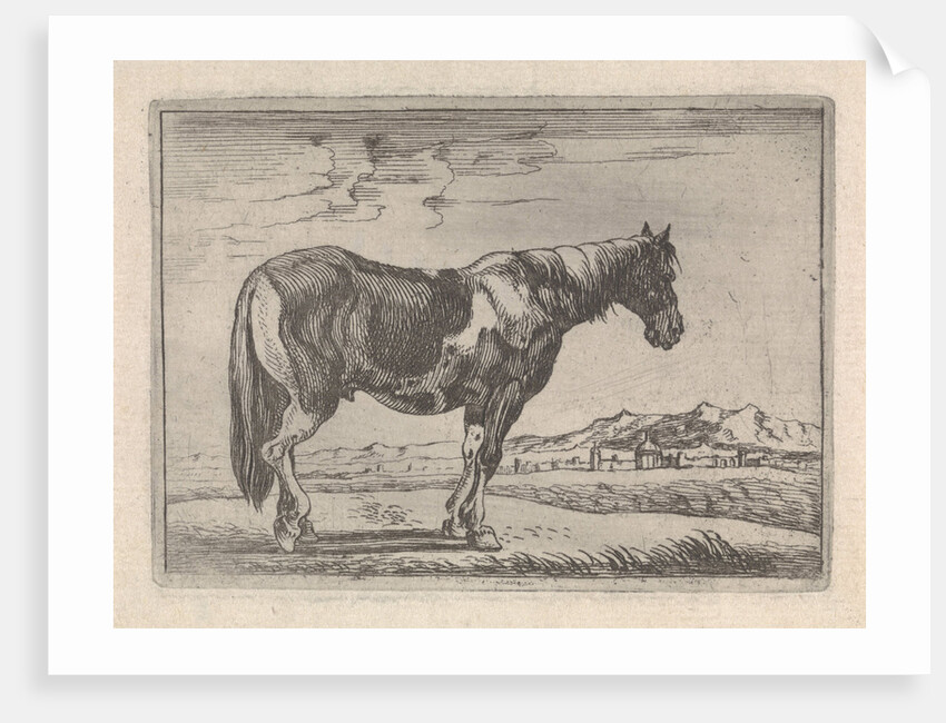 Single horse by G. Quineau
