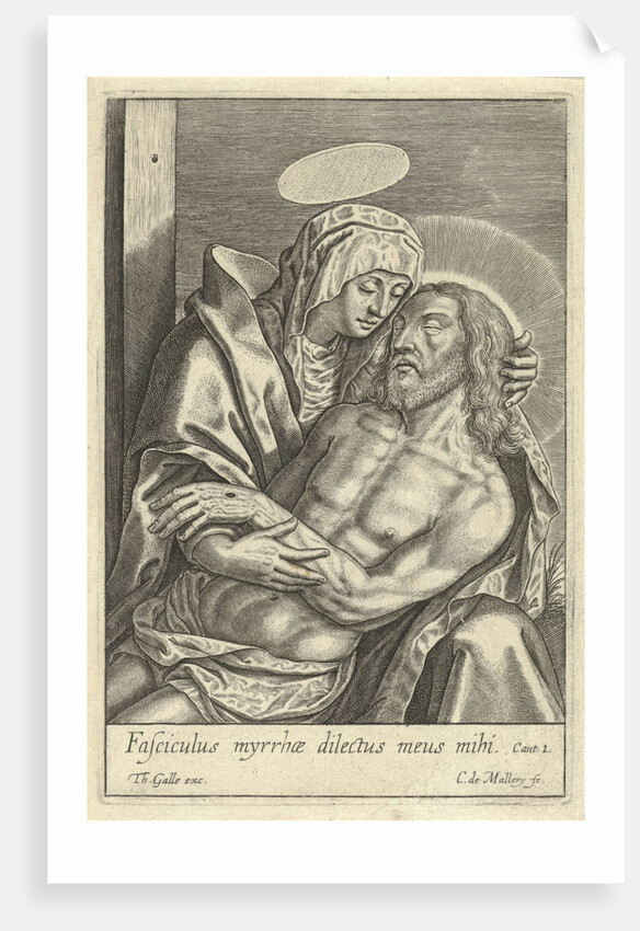 Pieta by Theodoor Galle