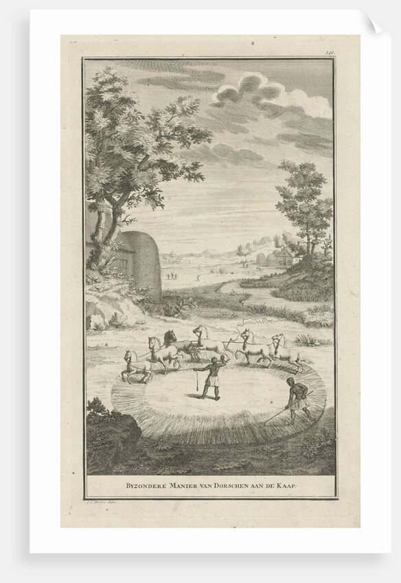 Hottentots threshing by Jan Caspar Philips