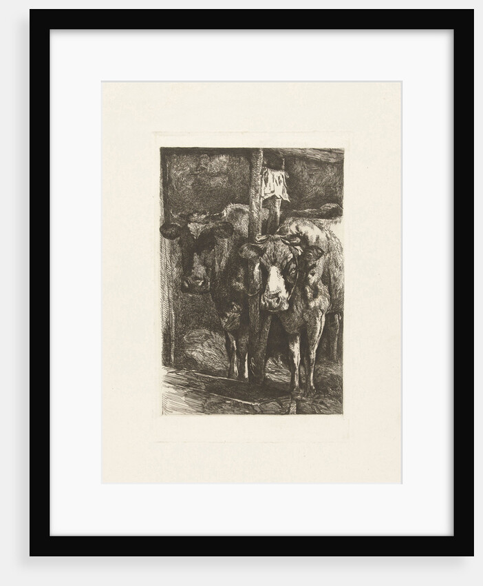 Two cows in the barn by Gerard Jan Bos