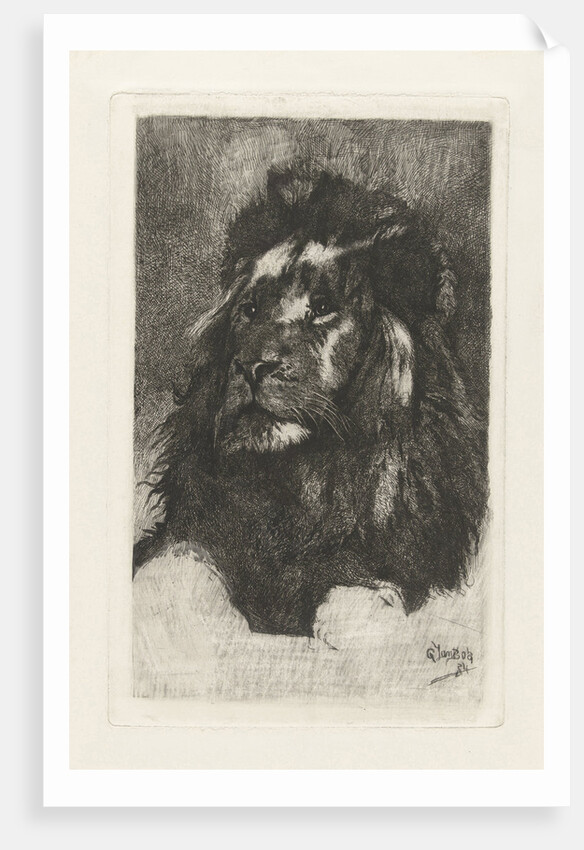 Head of a lion by Gerard Jan Bos