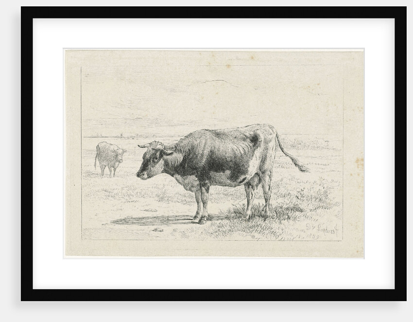 Two cows in a meadow by Dirk van Lokhorst