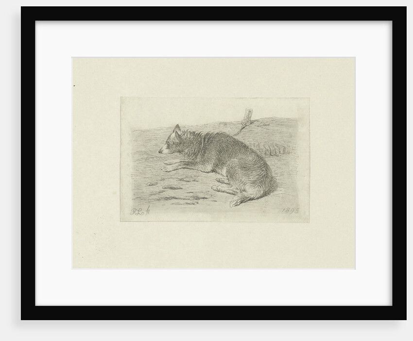 Lying dog from side by Frans Lebret