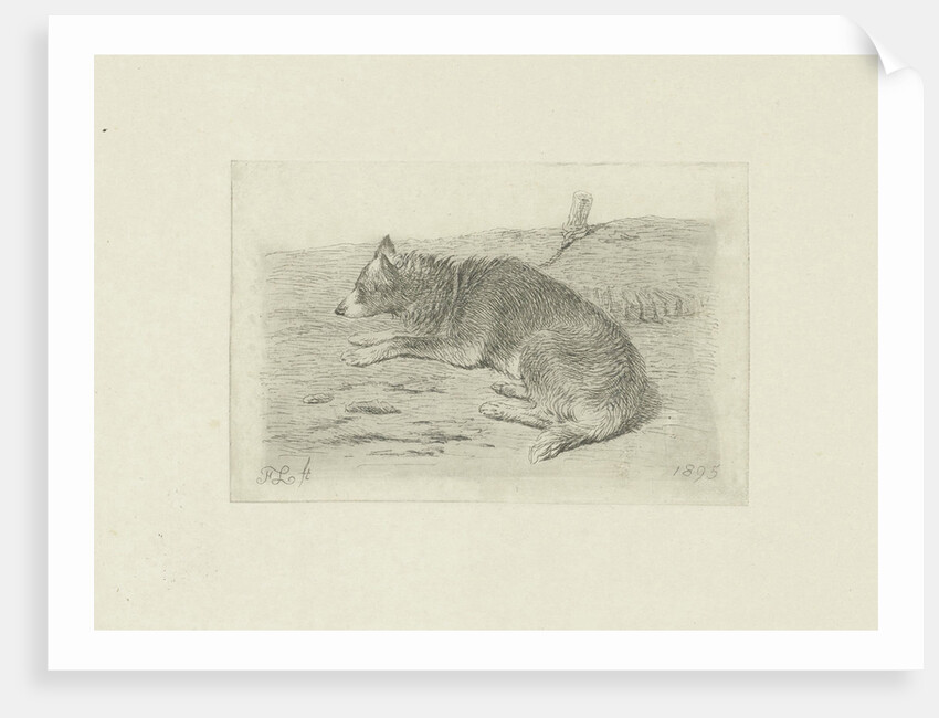 Lying dog from side by Frans Lebret