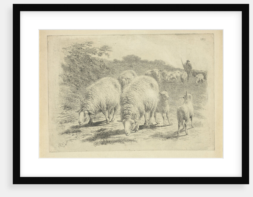 Sheep and lambs in the meadow by Frans Lebret