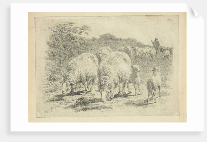 Sheep and lambs in the meadow by Frans Lebret
