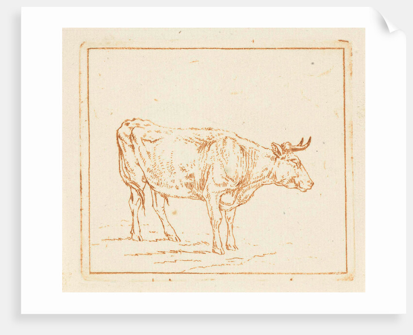 Bull standing by Ernst Willem Jan Bagelaar