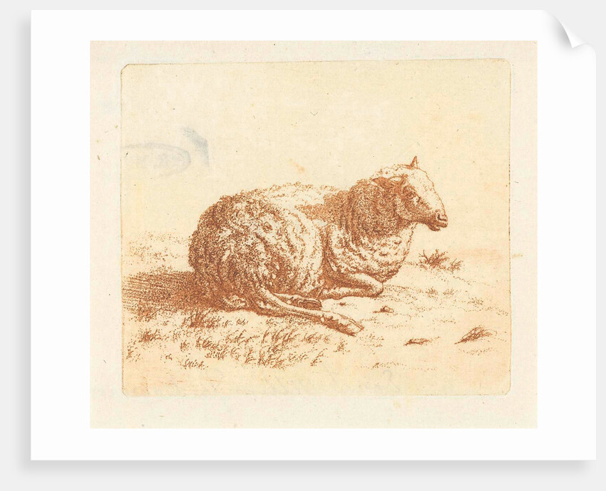 Lying Sheep by Ernst Willem Jan Bagelaar