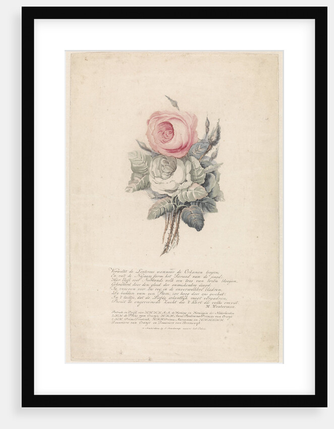 Roses by Marten Westerman