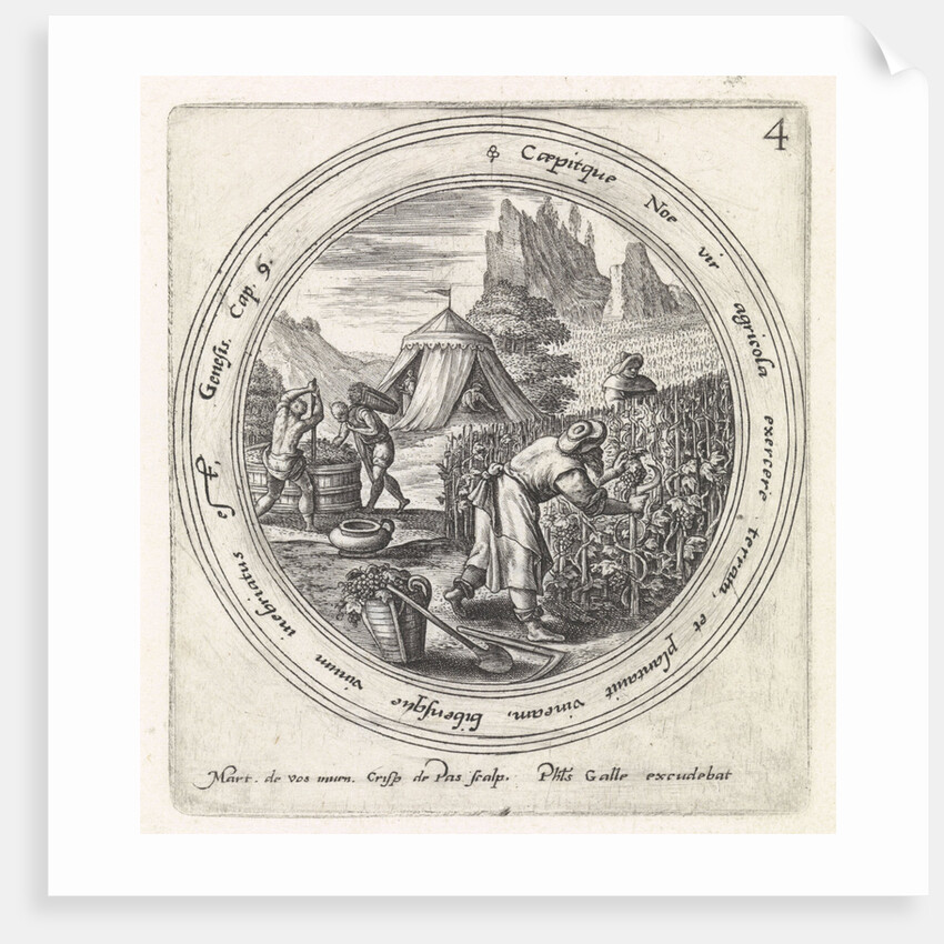 Noah in a vineyard by Philips Galle